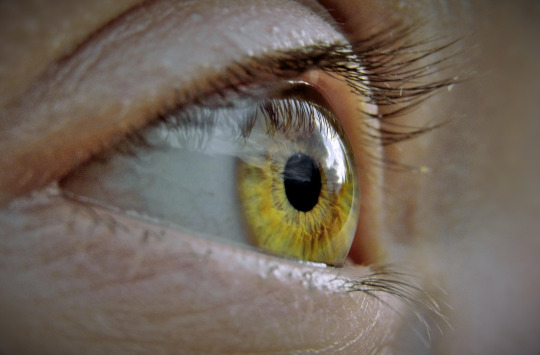 eyelash eyebrows beauty